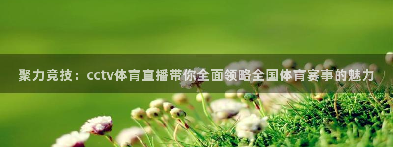 聚力竞技：cctv体育直播带你全面领略全国体育赛事的魅力