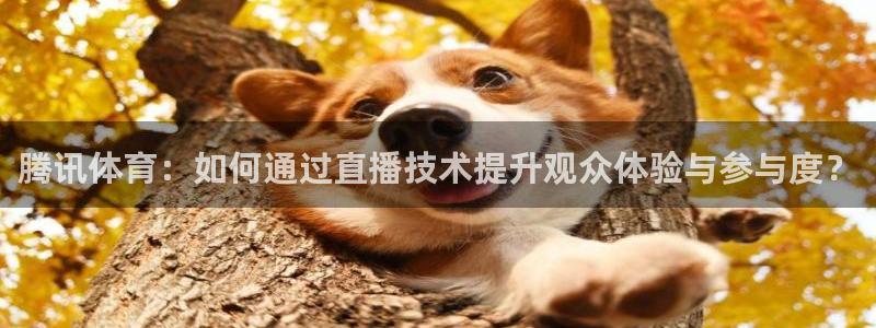腾讯体育：如何通过直播技术提升观众体验与参与度？