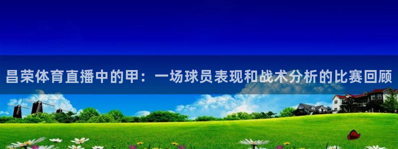 昌荣体育直播中的甲：一场球员表现和战术分析的比赛回顾