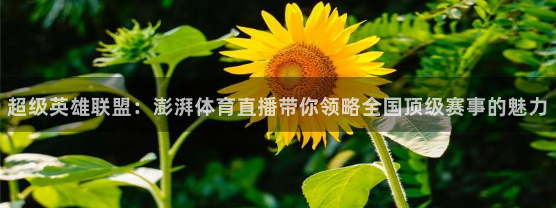 超级英雄联盟：澎湃体育直播带你领略全国顶级赛事的魅力