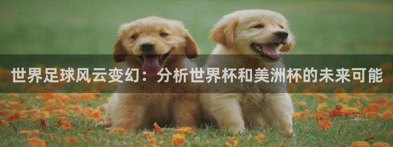 世界足球风云变幻：分析世界杯和美洲杯的未来可能