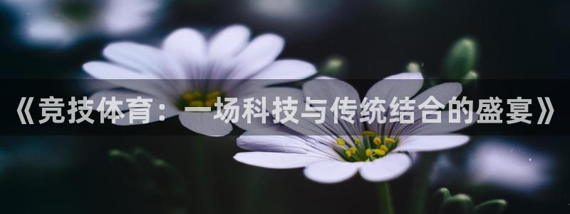 《竞技体育：一场科技与传统结合的盛宴》