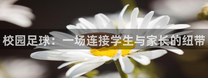 校园足球：一场连接学生与家长的纽带