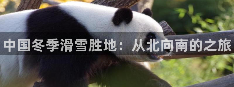 中国冬季滑雪胜地：从北向南的之旅