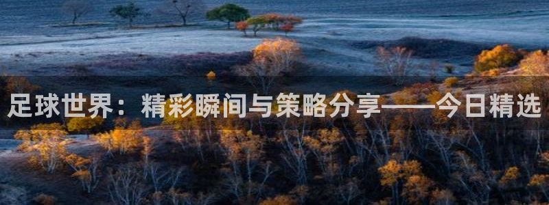 足球世界：精彩瞬间与策略分享——今日精选
