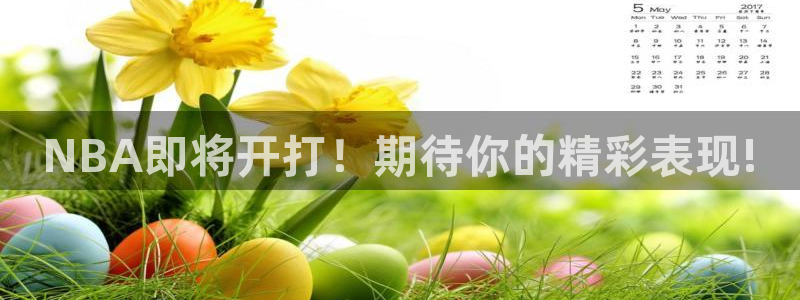 NBA即将开打！期待你的精彩表现!