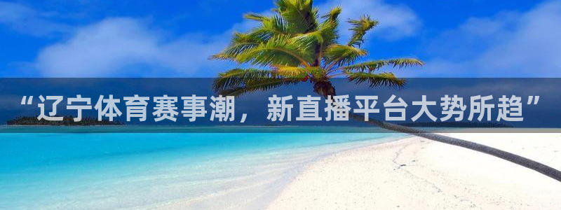“辽宁体育赛事潮，新直播平台大势所趋”