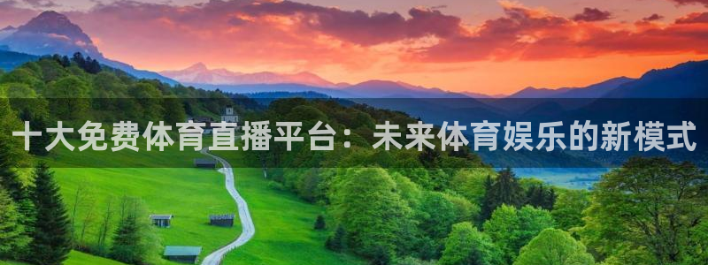 十大免费体育直播平台：未来体育娱乐的新模式