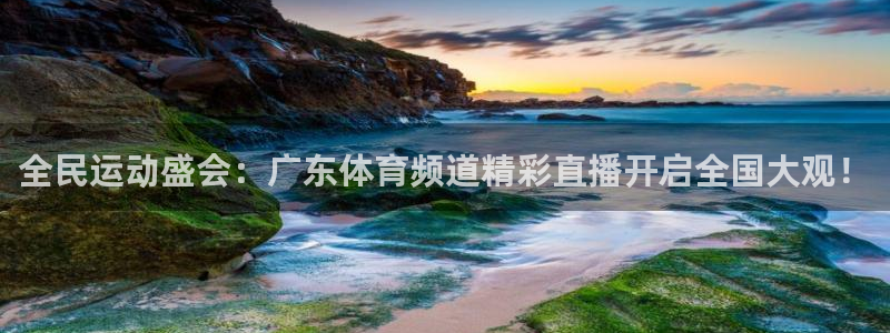 全民运动盛会：广东体育频道精彩直播开启全国大观！