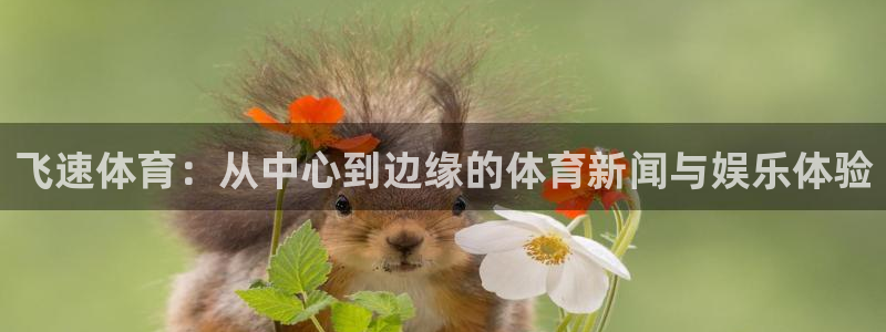 飞速体育：从中心到边缘的体育新闻与娱乐体验