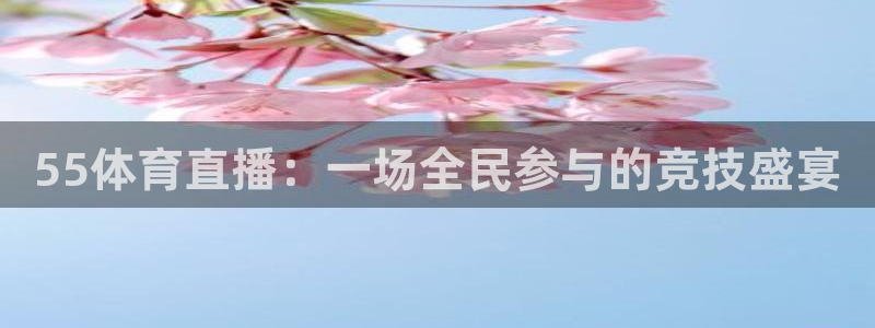 55体育直播：一场全民参与的竞技盛宴