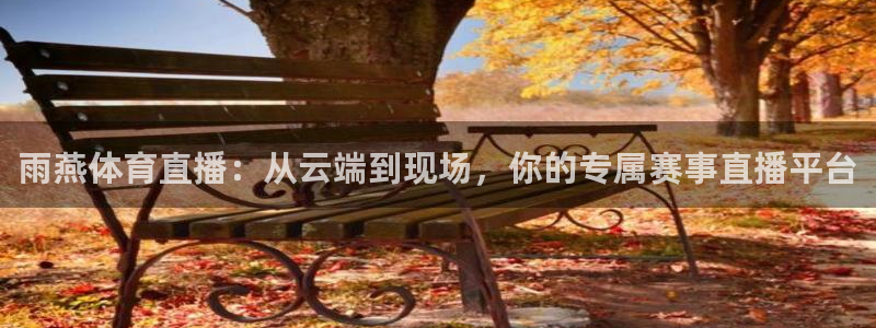 雨燕体育直播：从云端到现场，你的专属赛事直播平台