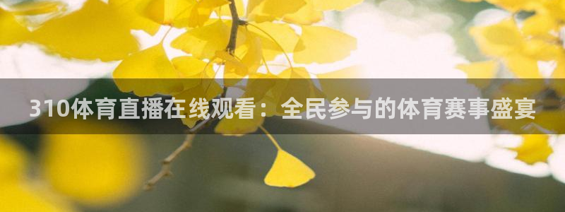 310体育直播在线观看：全民参与的体育赛事盛宴