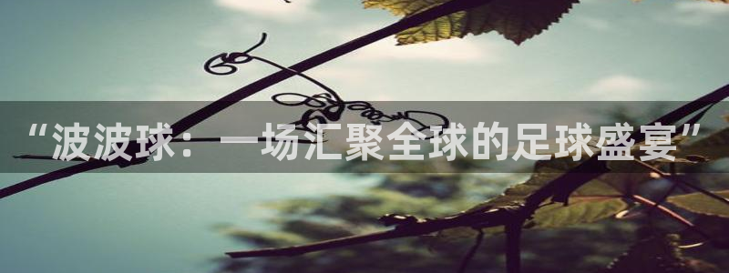 “波波球：一场汇聚全球的足球盛宴”