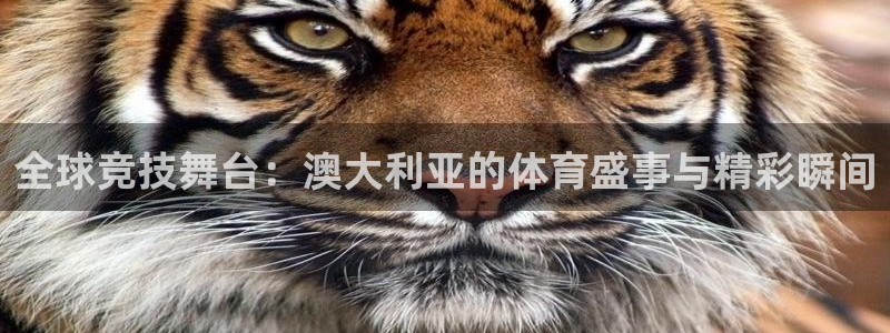 全球竞技舞台：澳大利亚的体育盛事与精彩瞬间