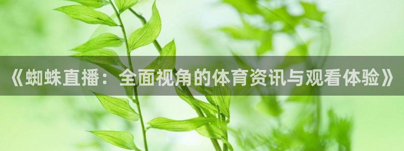 《蜘蛛直播：全面视角的体育资讯与观看体验》