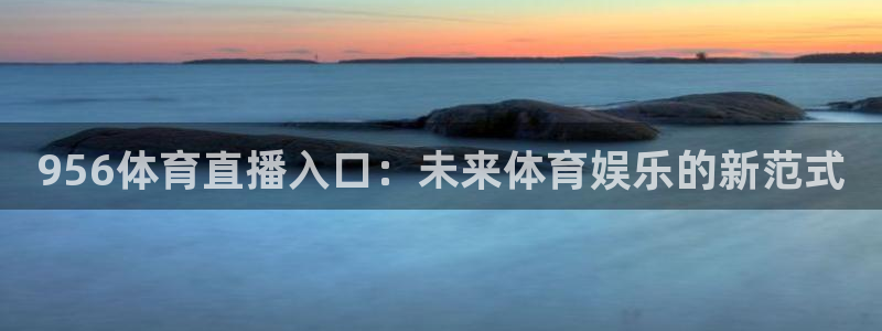 956体育直播入口：未来体育娱乐的新范式