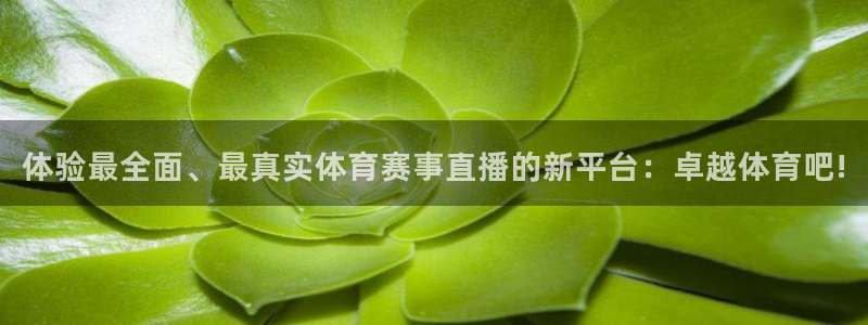体验最全面、最真实体育赛事直播的新平台：卓越体育吧!