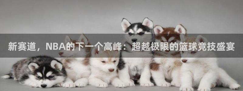 新赛道，NBA的下一个高峰：超越极限的篮球竞技盛宴