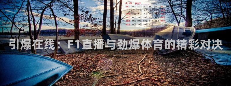 引爆在线：F1直播与劲爆体育的精彩对决