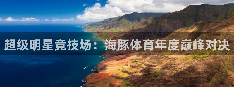 超级明星竞技场：海豚体育年度巅峰对决