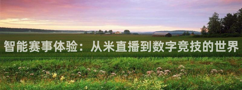 智能赛事体验：从米直播到数字竞技的世界