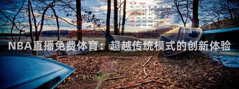 NBA直播免费体育：超越传统模式的创新体验