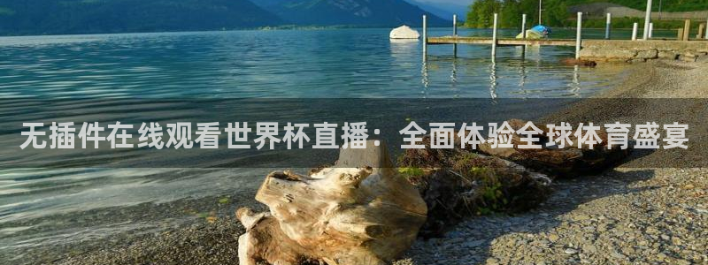 无插件在线观看世界杯直播：全面体验全球体育盛宴