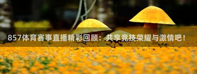 857体育赛事直播精彩回顾：共享竞技荣耀与激情吧！