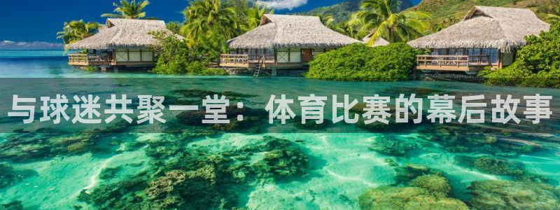 与球迷共聚一堂：体育比赛的幕后故事