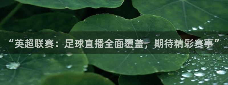 “英超联赛：足球直播全面覆盖，期待精彩赛事”