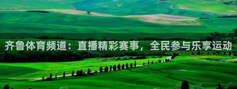 齐鲁体育频道：直播精彩赛事，全民参与乐享运动