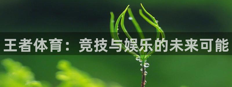 王者体育：竞技与娱乐的未来可能