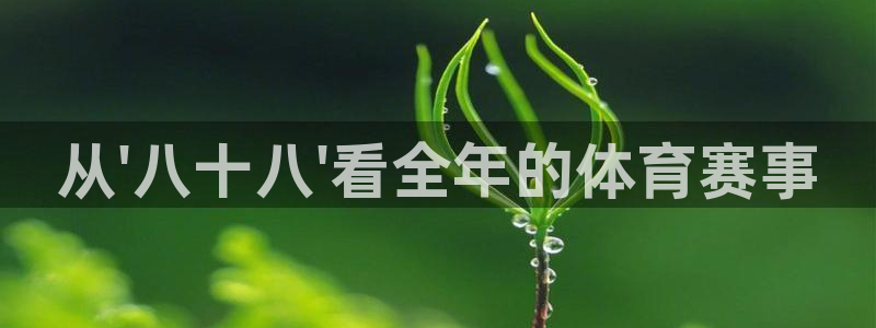 从\'八十八\'看全年的体育赛事