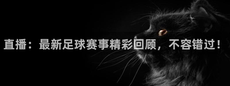直播：最新足球赛事精彩回顾，不容错过！