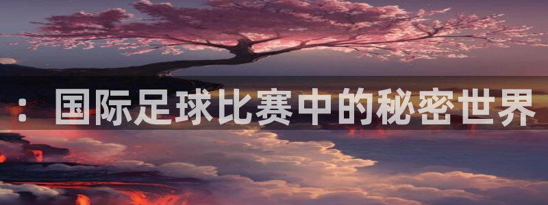 ：国际足球比赛中的秘密世界