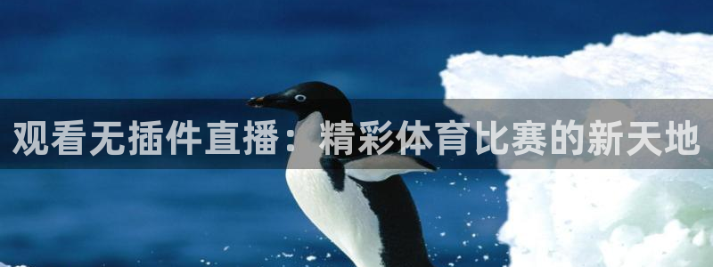 观看无插件直播：精彩体育比赛的新天地