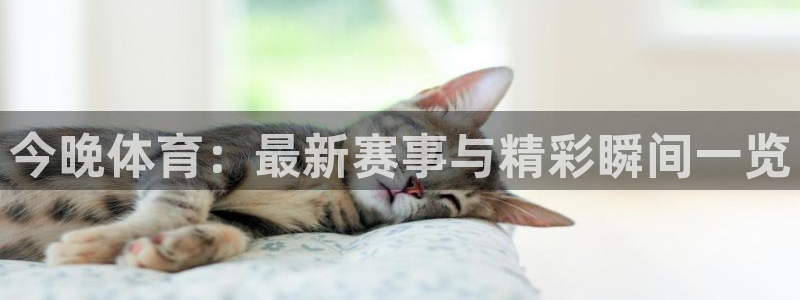 今晚体育：最新赛事与精彩瞬间一览