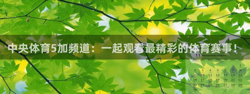 中央体育5加频道：一起观看最精彩的体育赛事！