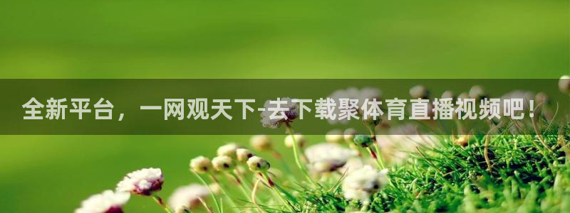 全新平台，一网观天下-去下载聚体育直播视频吧！