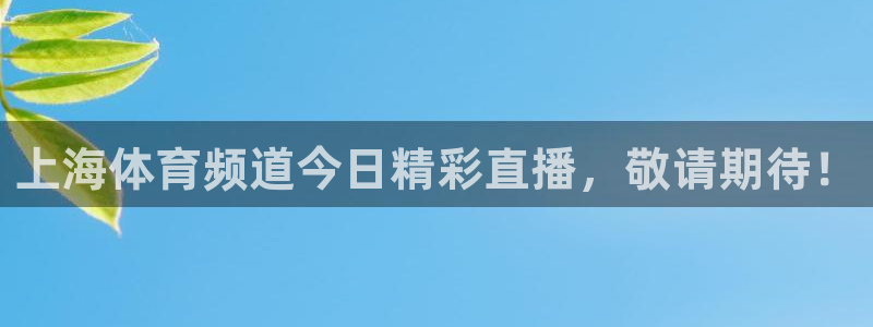 上海体育频道今日精彩直播，敬请期待！