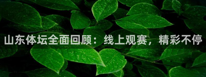 山东体坛全面回顾：线上观赛，精彩不停