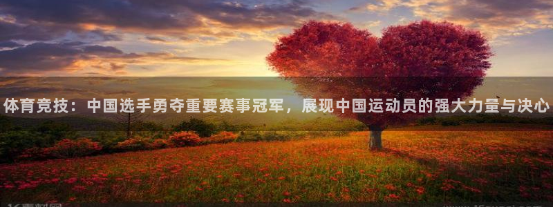 体育竞技：中国选手勇夺重要赛事冠军，展现中国运动员的强大力量与决心