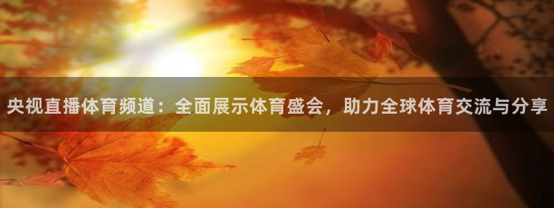 央视直播体育频道：全面展示体育盛会，助力全球体育交流与分享