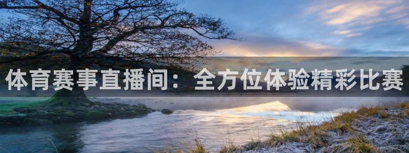 体育赛事直播间：全方位体验精彩比赛