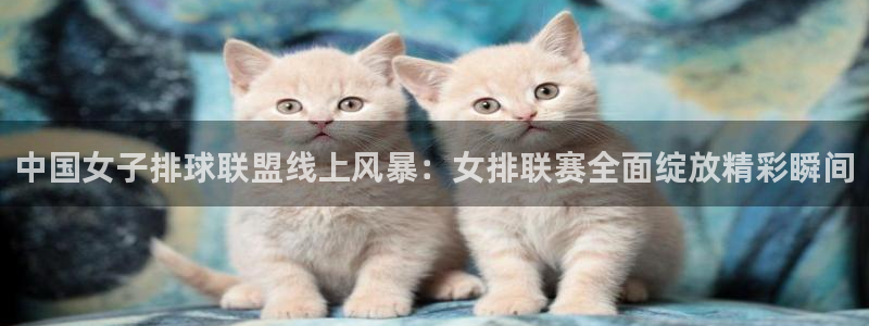 中国女子排球联盟线上风暴：女排联赛全面绽放精彩瞬间