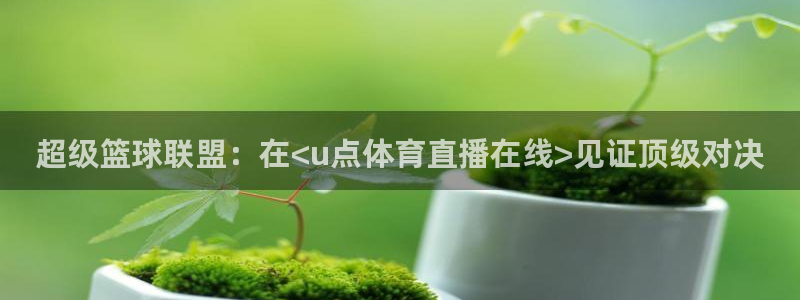 超级篮球联盟：在<u点体育直播在线>见证顶级对决