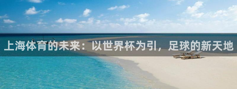上海体育的未来：以世界杯为引，足球的新天地