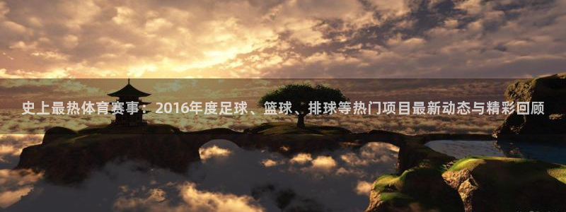 史上最热体育赛事：2016年度足球、篮球、排球等热门项目最新动态与精彩回顾