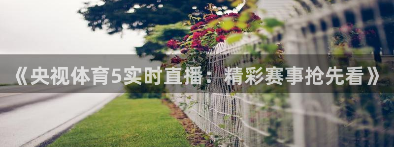 《央视体育5实时直播：精彩赛事抢先看》